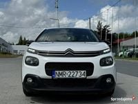 Obraz 3