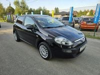 Obraz 3