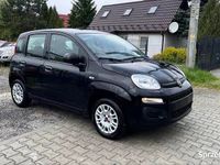 Obraz 3