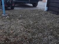 Używany Nissan Qashqai +2 150 KM (110 kW) 2009 Szary SUV