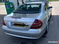 Obraz 3