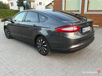 Obraz 3
