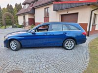 Obraz 3
