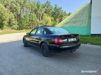 Obraz 3