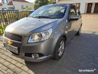 używany Chevrolet Aveo 