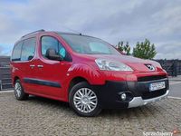 Używany Peugeot Partner Tepee 2010 Minivan