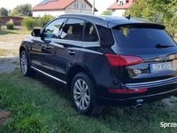 Obraz 2