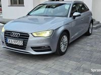 Używany Audi A3 Sportback Ambiente 2014 Szary Hatchback