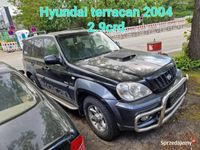 używany Hyundai Terracan 