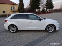 Obraz 3