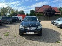 Obraz 3
