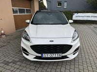 Obraz 2