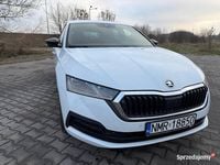 używany Skoda Octavia IV (2020 - teraz) OKTAVIA 1,5 e-Tec