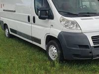 używany Fiat Ducato Ducato