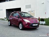 używany Ford Ka RU8 Titanium ST+