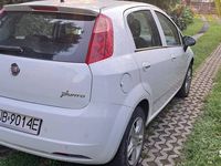 Obraz 3