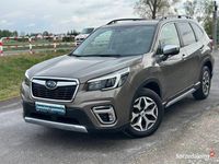 Używany Subaru Forester 2021 Zielony SUV