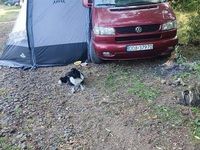 używany VW Caravelle 