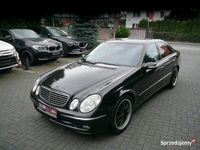 Obraz 3