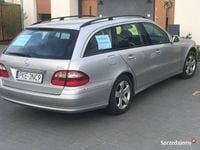 Obraz 3