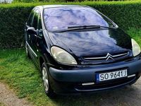 Obraz 3