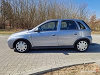 Obraz 3