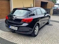 Obraz 3