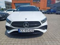 Obraz 3