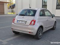 Używany Fiat 500 Lounge 2021