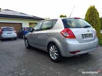 Obraz 3