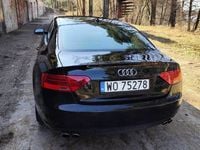 Obraz 3