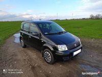 używany Fiat Panda 