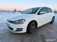 Używany VW Golf VII Highline 2016 Biały Hatchback