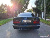 używany Mercedes 320 W210CDI Avantgarde po liftingu ! Okular amg !