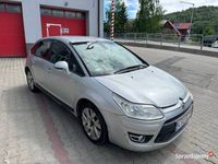 Obraz 3