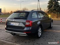 Używany Skoda Octavia Scout 2015 Szary Kombi