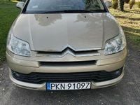 Obraz 2