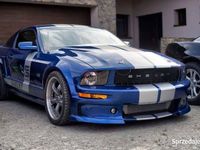 używany Ford Shelby 