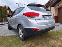 Obraz 3