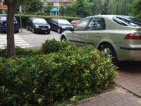 Używany Renault Laguna II 120 KM (88 kW) 2002