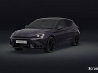 Nowe Cupra Leon VZ 2026 Fioletowy Hatchback