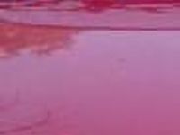 Używany Fiat Sedici 24 KM (17 kW) 2000 Czerwony SUV