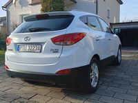 Obraz 3
