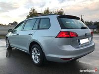 używany VW Golf VII BlueMotion Variant, Salon Polska, bezwypadkowy