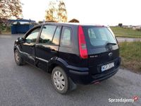 Obraz 3