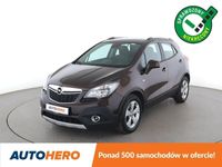 Obraz 1