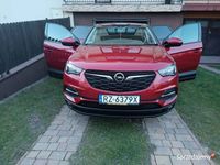 używany Opel Grandland X 2019r, I właściciel-os.pryw., ASO, salonPL