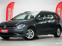 używany VW Golf VII 1.6dm 115KM 2019r. 140 000km