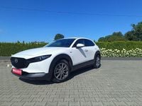 Obraz 1