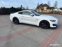 używany Ford Mustang GT GT 2017 350 style